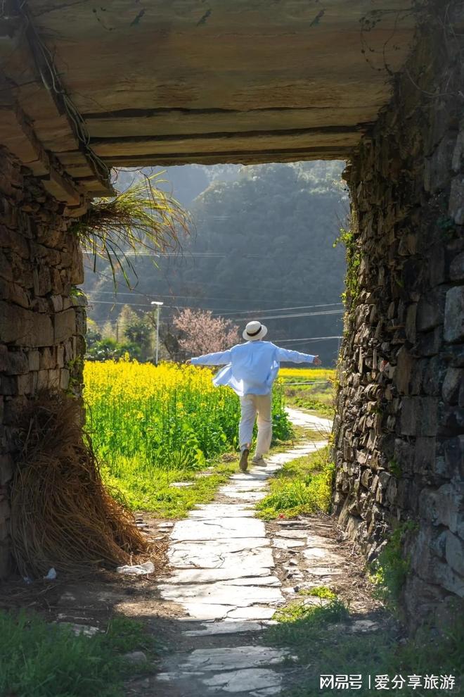 日小团费用高山草甸+星空露营绝配AG真人