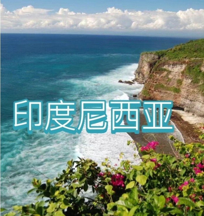 际电商(印尼)产业博览会AG真人2025中国国(图1) 际电商(印尼)产业博览会AG真人2025中国国(图1)