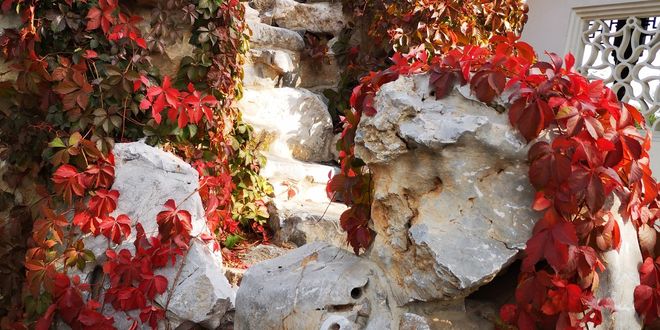 由行重庆旅游5日游十大必去景点+行程方案AG真人游戏第一品牌重庆旅游攻略带孩子自(图6)