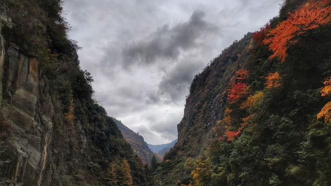 由行重庆旅游5日游十大必去景点+行程方案AG真人游戏第一品牌重庆旅游攻略带孩子自(图3)