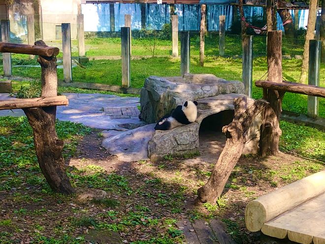 由行重庆旅游5日游十大必去景点+行程方案AG真人游戏第一品牌重庆旅游攻略带孩子自(图11)